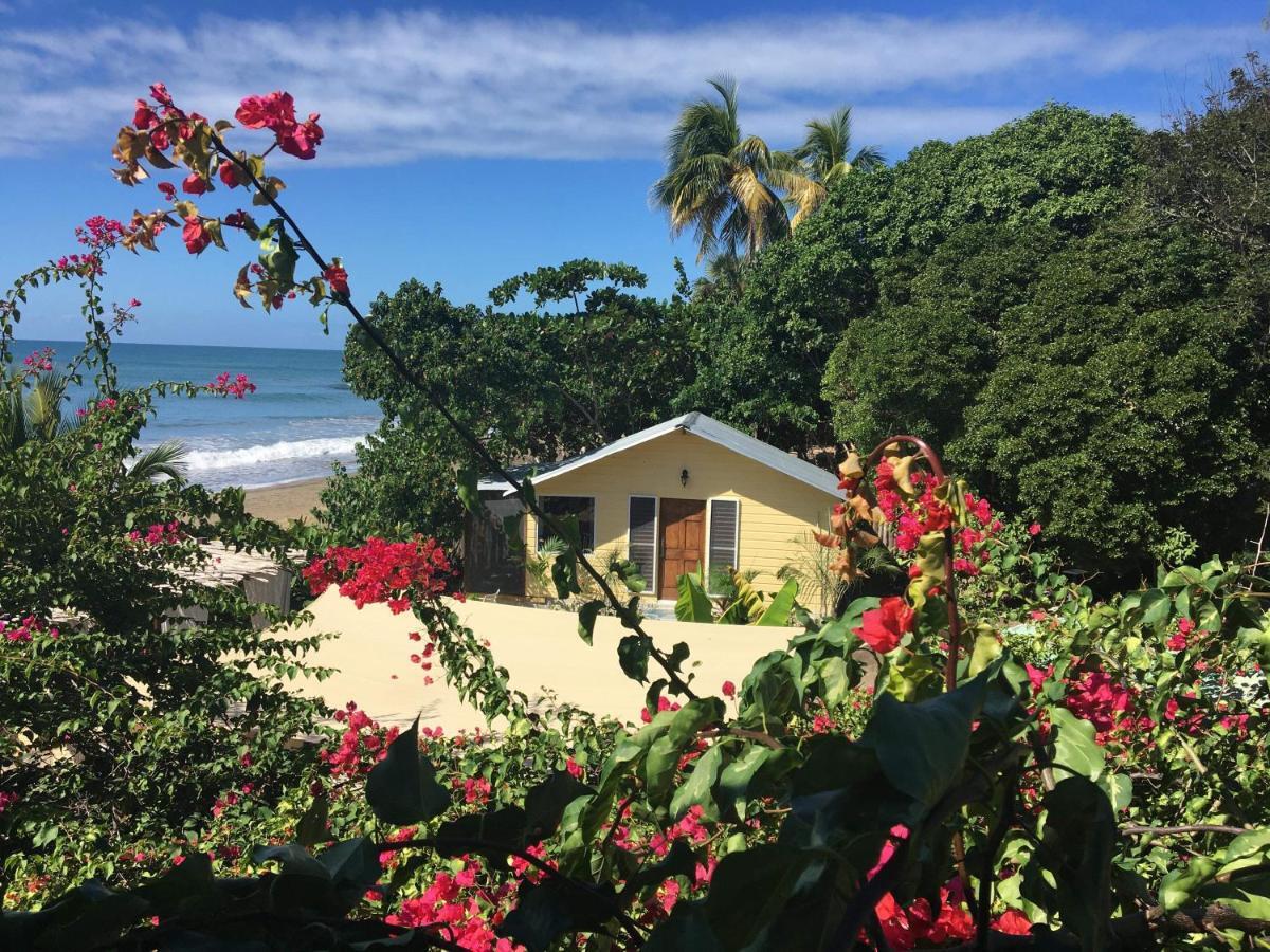 Katamah Beachfront Guesthouse Treasure Beach Exterior photo